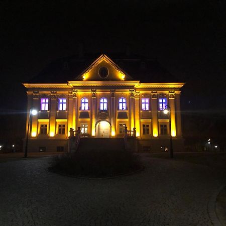 Hotel Palac Borynia Jastrzębie Zdrój Exterior foto