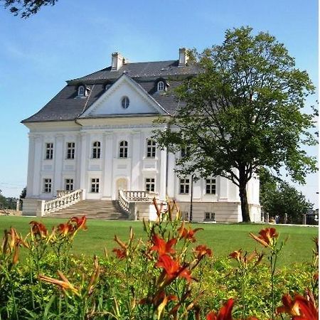 Hotel Palac Borynia Jastrzębie Zdrój Exterior foto