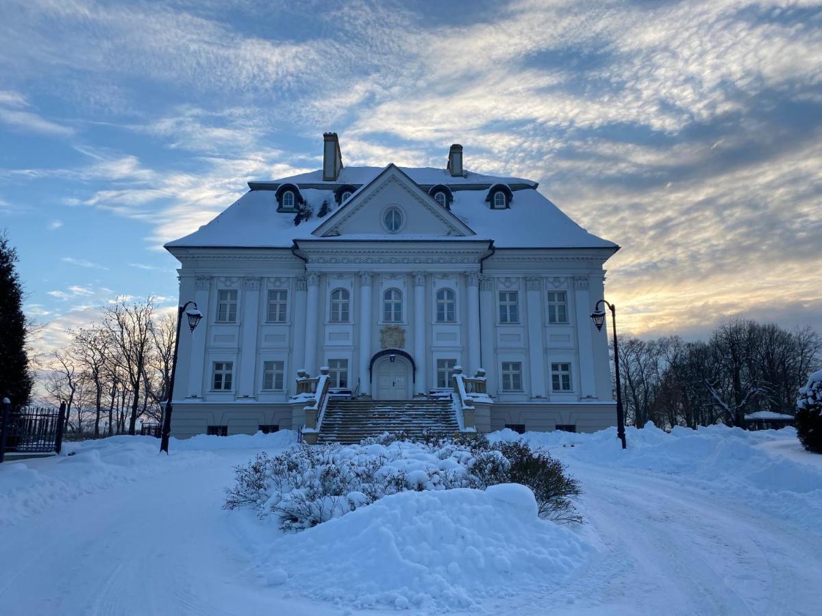 Hotel Palac Borynia Jastrzębie Zdrój Exterior foto