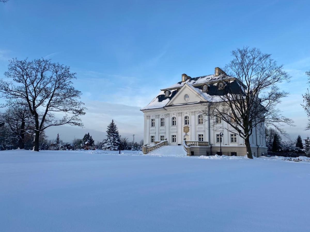 Hotel Palac Borynia Jastrzębie Zdrój Exterior foto