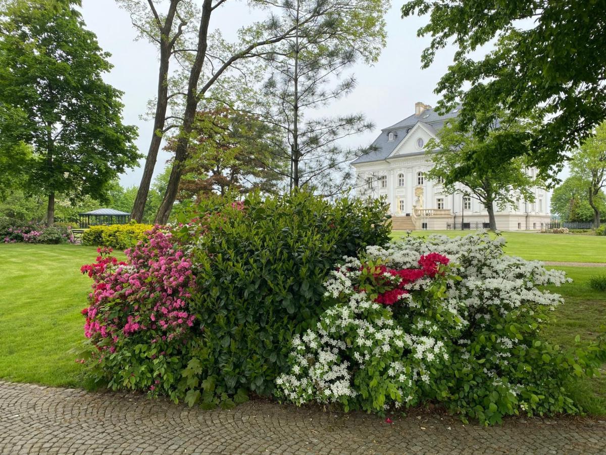 Hotel Palac Borynia Jastrzębie Zdrój Exterior foto