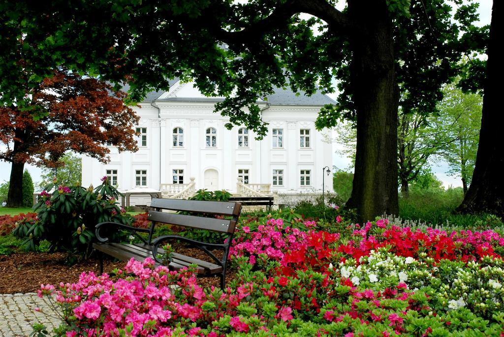 Hotel Palac Borynia Jastrzębie Zdrój Exterior foto